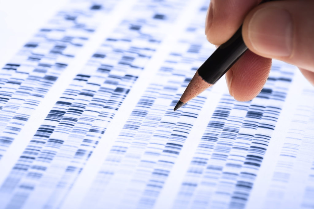Wissenschaftler untersucht DNA-Gel
